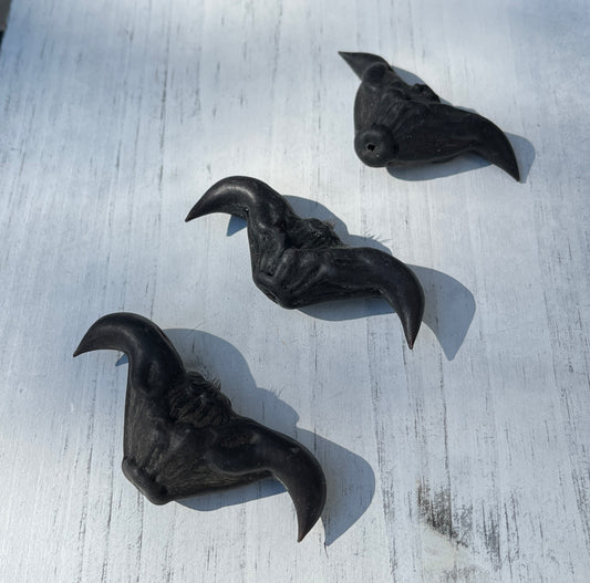 Large caltrop (bat nut, devil pod)