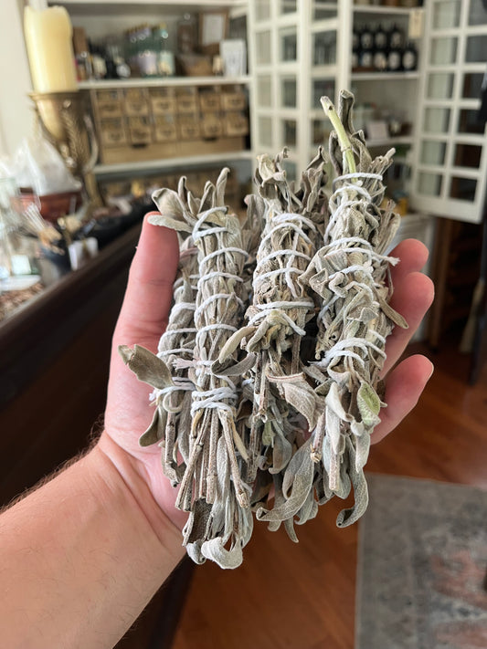 Garden sage bundle