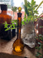 Amber Potion Bottle